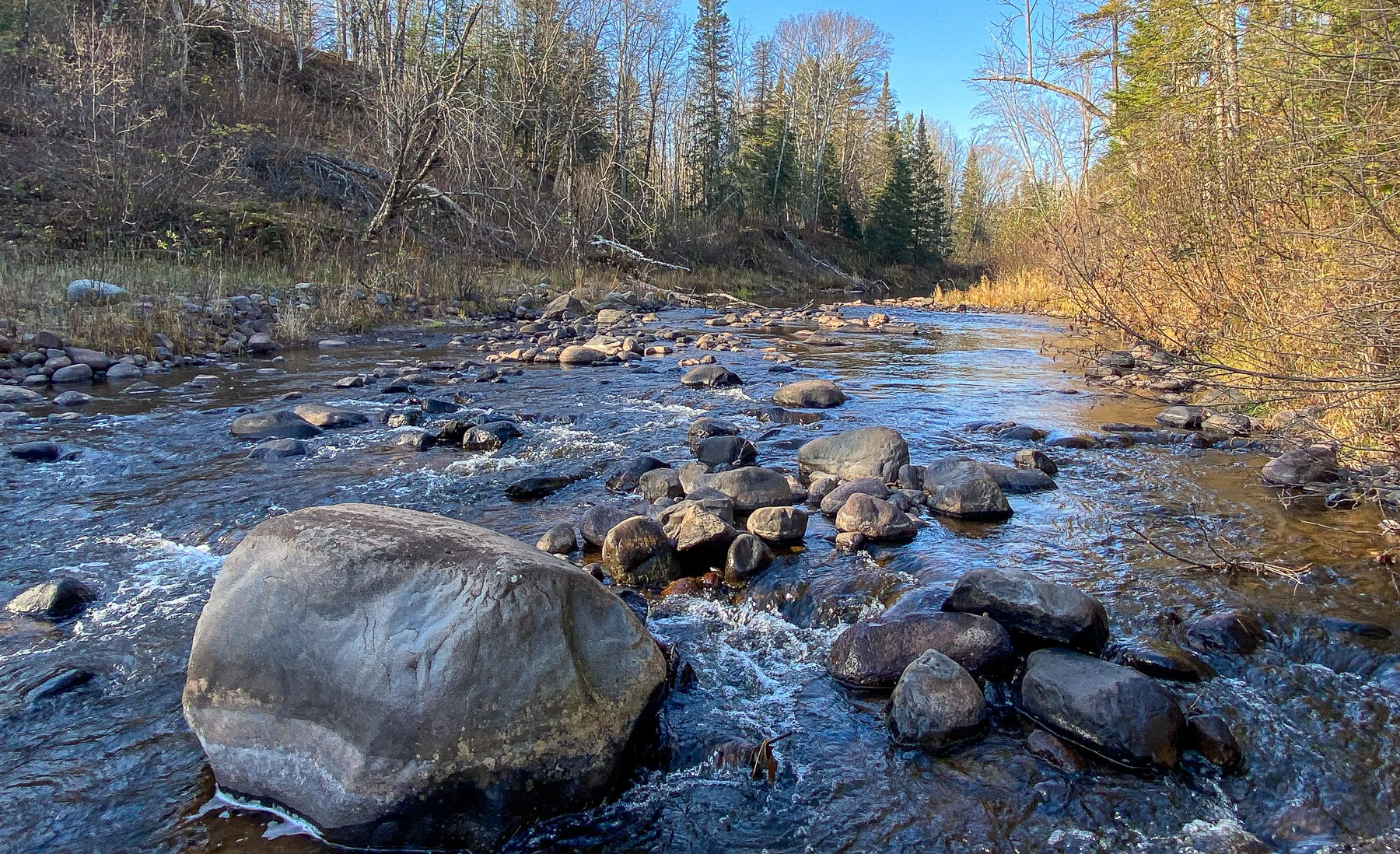 Clear, fast-flowing creek with small rapids over rocks and large boulders; wooded banks with bare and green trees.